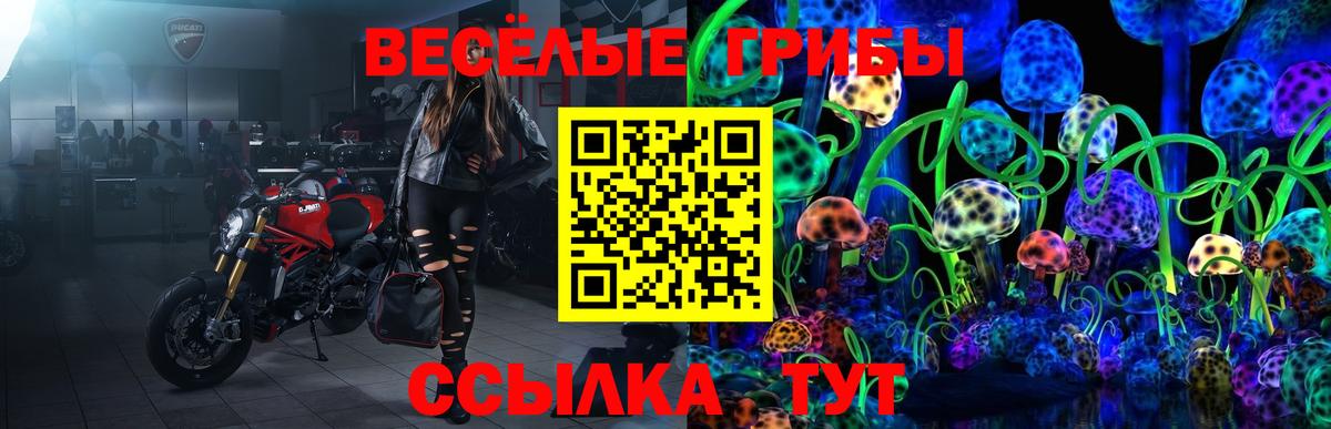 Галлюциногенные грибы прущие грибы Муром