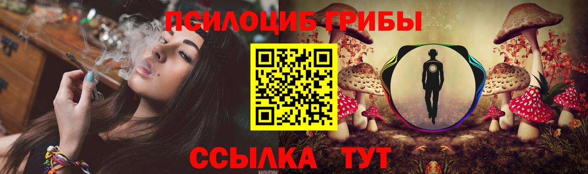 Муром  Псилоцибиновые грибы мицелий  Вход с VPN 